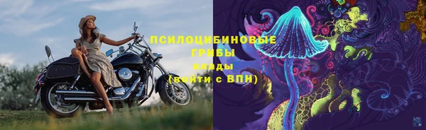 ешки Каменногорск