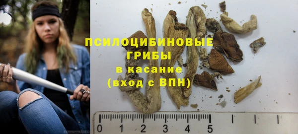 mdma Каменка