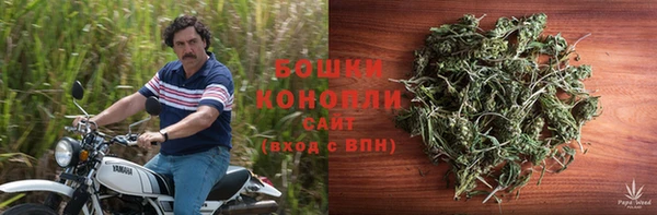 ешки Каменногорск